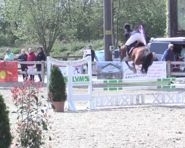 LVM Ponychampionat Münster-Nienberge 2017