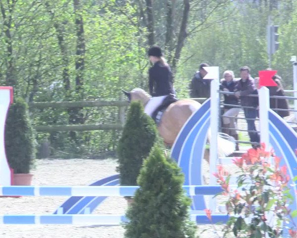 LVM Ponychampionat Münster-Nienberge 2017