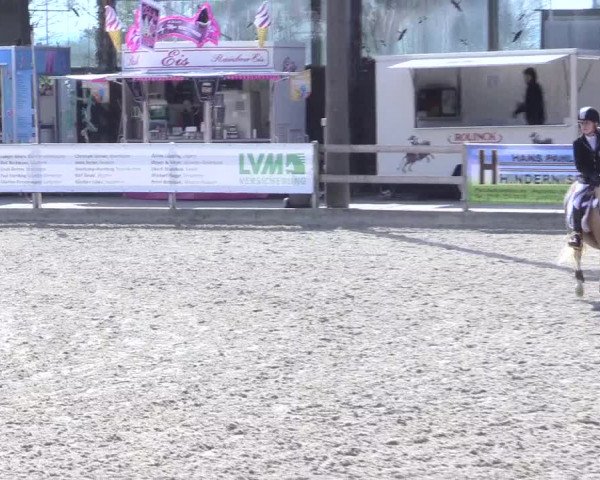 LVM Ponychampionat Münster-Nienberge 2017