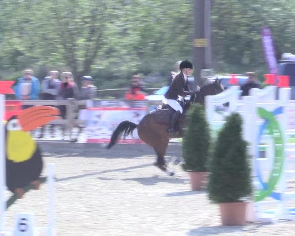 LVM Ponychampionat Münster-Nienberge 2017