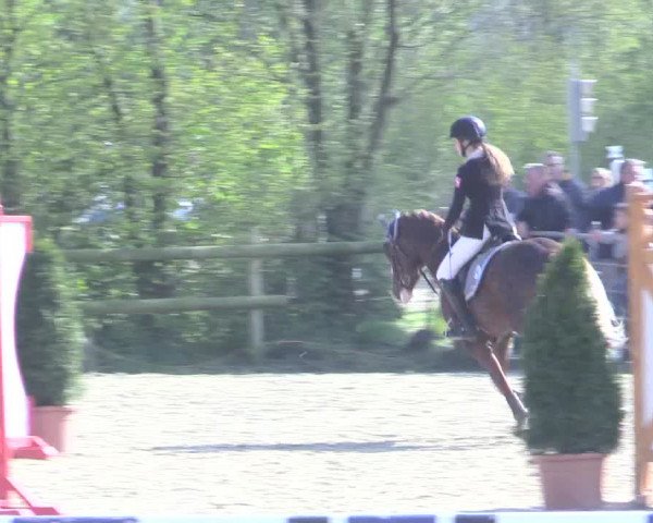 LVM Ponychampionat Münster-Nienberge 2017