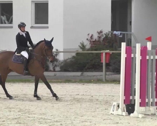 Frühjahrsturnier Ingolstadt Hagau 2017