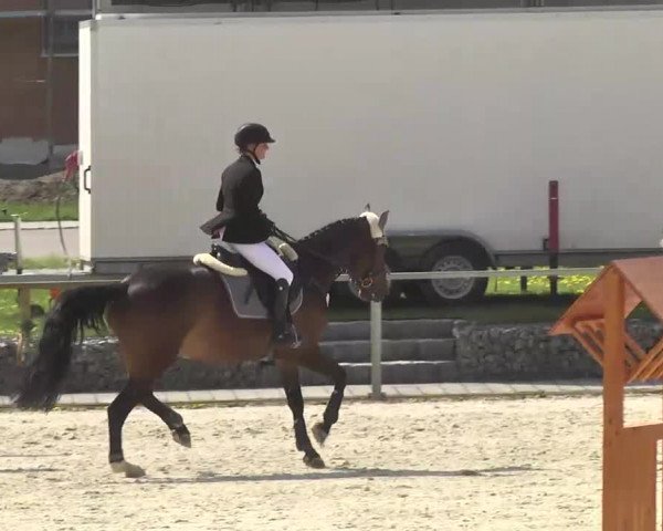 Frühjahrsturnier Ingolstadt Hagau 2017