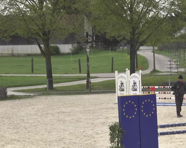 Frühjahrsturnier Ingolstadt Hagau 2017