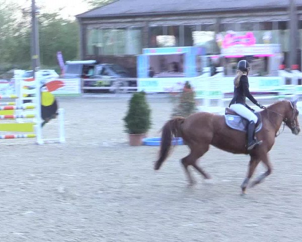 LVM Ponychampionat Münster-Nienberge 2017