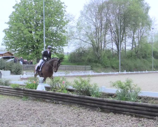 Reitturnier Mettmann - Reitanlage Löckenhoff 2017