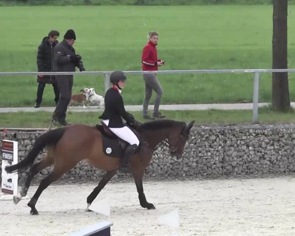 Frühjahrsturnier Ingolstadt Hagau 2017