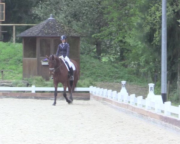 Reitturnier Mettmann - Reitanlage Löckenhoff 2017