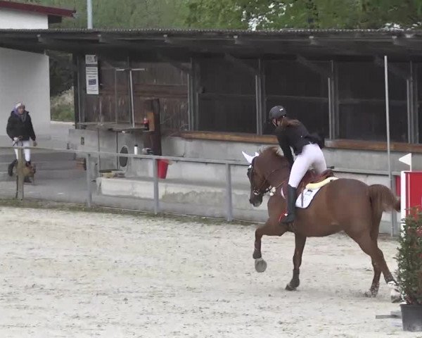 Frühjahrsturnier Ingolstadt Hagau 2017