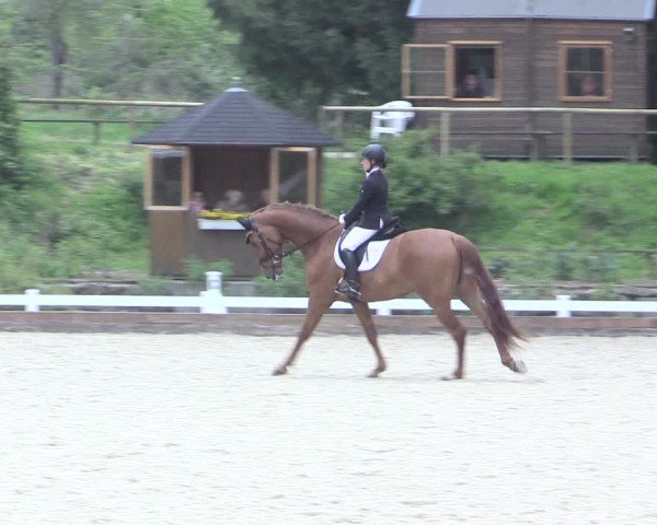 Reitturnier Mettmann - Reitanlage Löckenhoff 2017