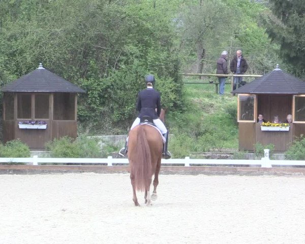 Reitturnier Mettmann - Reitanlage Löckenhoff 2017