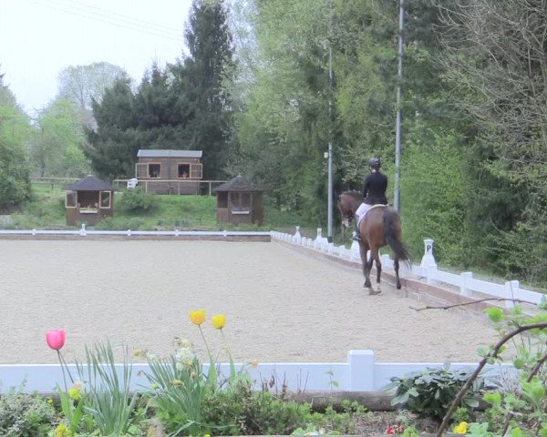 Reitturnier Mettmann - Reitanlage Löckenhoff 2017