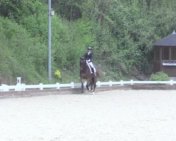 Reitturnier Mettmann - Reitanlage Löckenhoff 2017