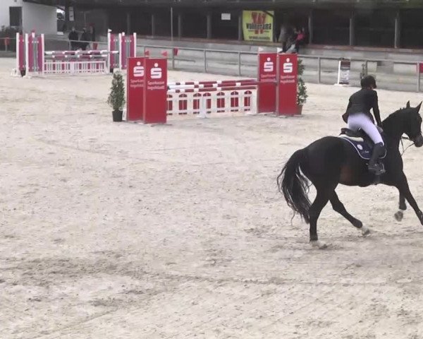Frühjahrsturnier Ingolstadt Hagau 2017