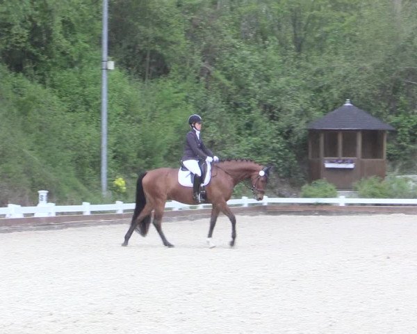 Reitturnier Mettmann - Reitanlage Löckenhoff 2017
