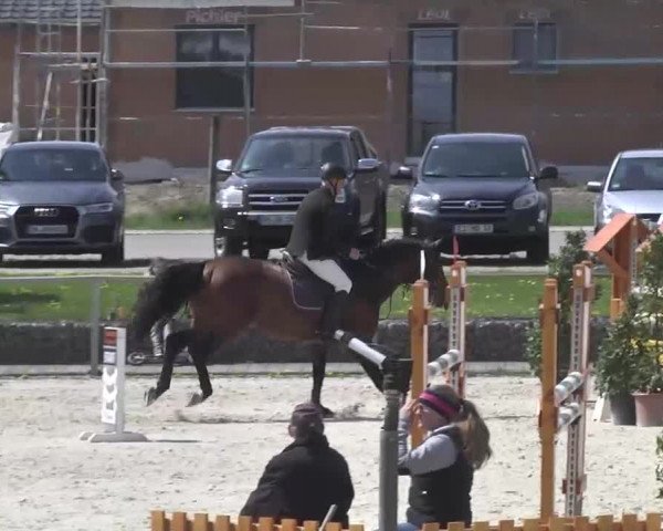 Frühjahrsturnier Ingolstadt Hagau 2017