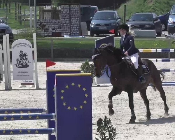 Frühjahrsturnier Ingolstadt Hagau 2017