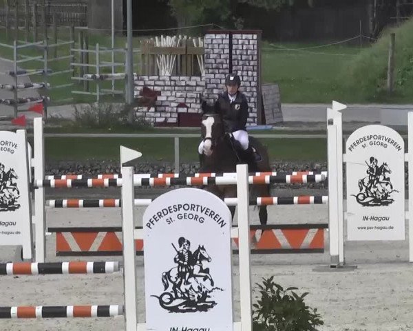 Frühjahrsturnier Ingolstadt Hagau 2017