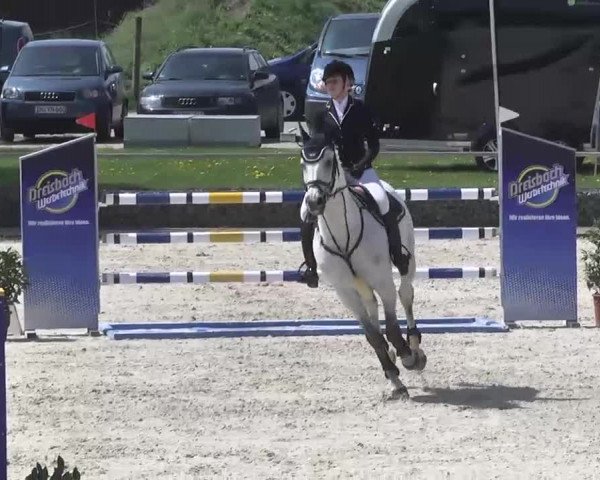 Frühjahrsturnier Ingolstadt Hagau 2017