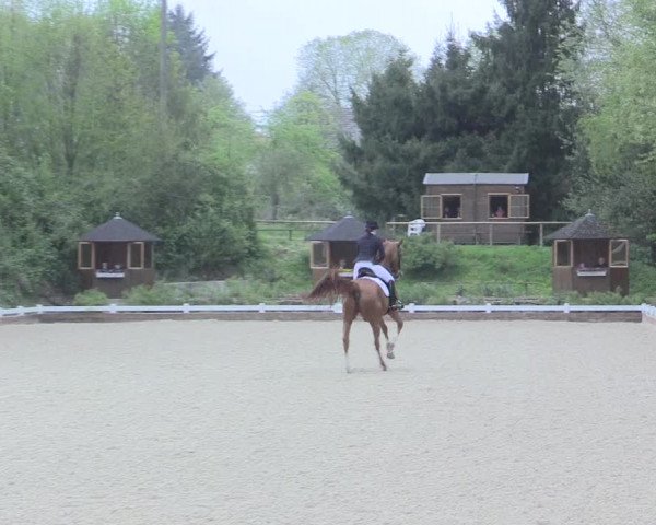 Reitturnier Mettmann - Reitanlage Löckenhoff 2017