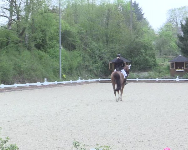 Reitturnier Mettmann - Reitanlage Löckenhoff 2017