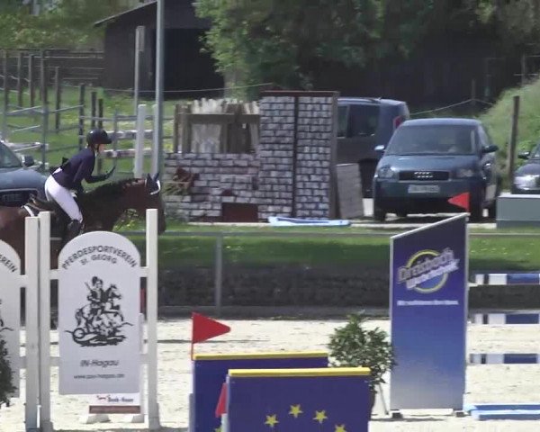 Frühjahrsturnier Ingolstadt Hagau 2017