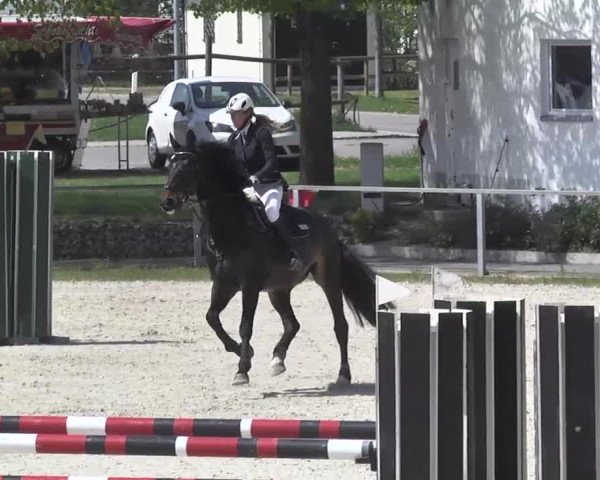 Frühjahrsturnier Ingolstadt Hagau 2017