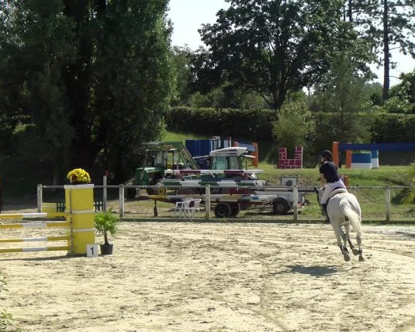 Reitturnier Reilingen 2021