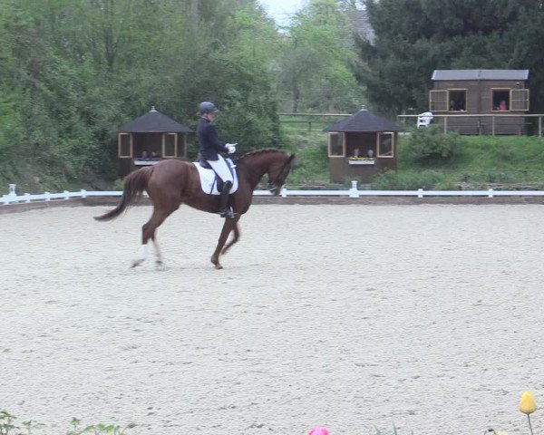Reitturnier Mettmann - Reitanlage Löckenhoff 2017