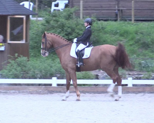 Reitturnier Mettmann - Reitanlage Löckenhoff 2017