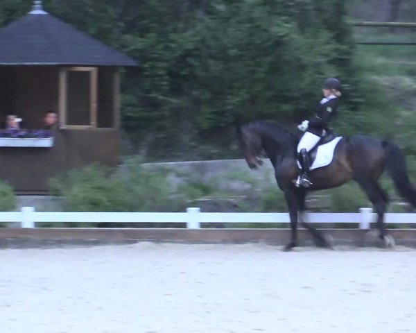 Reitturnier Mettmann - Reitanlage Löckenhoff 2017