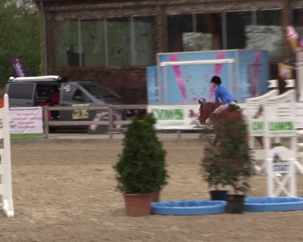 LVM Ponychampionat Münster-Nienberge 2017