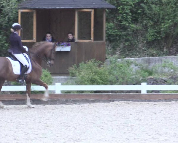 Reitturnier Mettmann - Reitanlage Löckenhoff 2017
