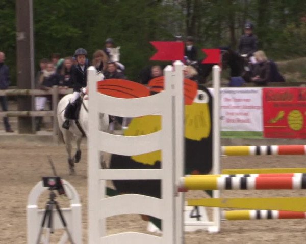 LVM Ponychampionat Münster-Nienberge 2017