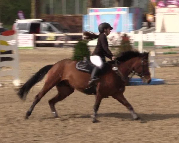 LVM Ponychampionat Münster-Nienberge 2017