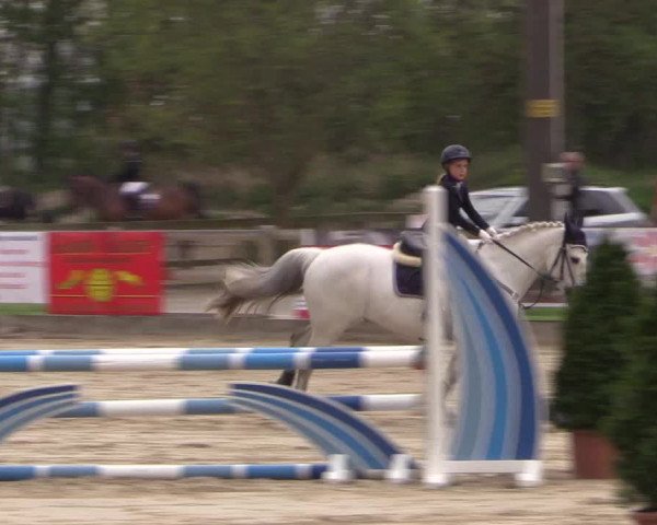 LVM Ponychampionat Münster-Nienberge 2017
