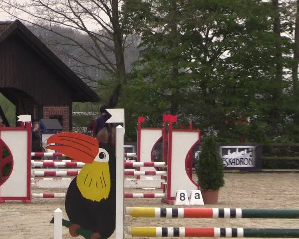 LVM Ponychampionat Münster-Nienberge 2017