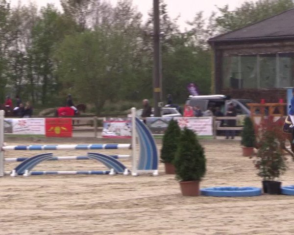 LVM Ponychampionat Münster-Nienberge 2017
