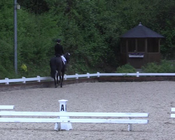 Reitturnier Mettmann - Reitanlage Löckenhoff 2017