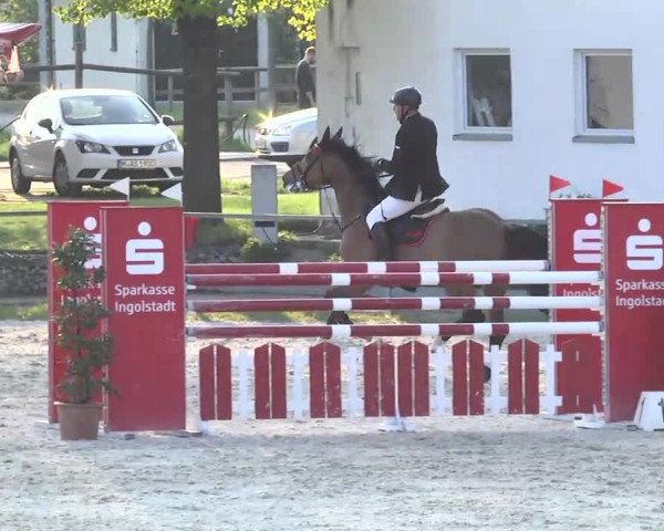 Frühjahrsturnier Ingolstadt Hagau 2017