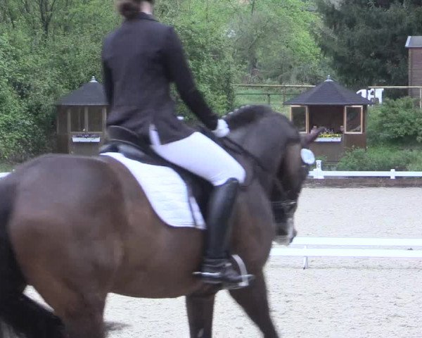 Reitturnier Mettmann - Reitanlage Löckenhoff 2017