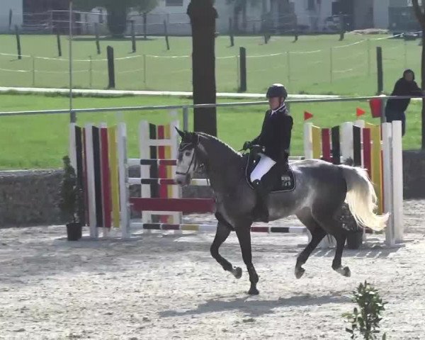 Frühjahrsturnier Ingolstadt Hagau 2017