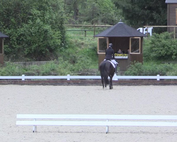 Reitturnier Mettmann - Reitanlage Löckenhoff 2017