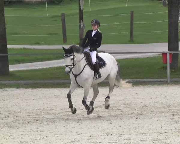 Frühjahrsturnier Ingolstadt Hagau 2017