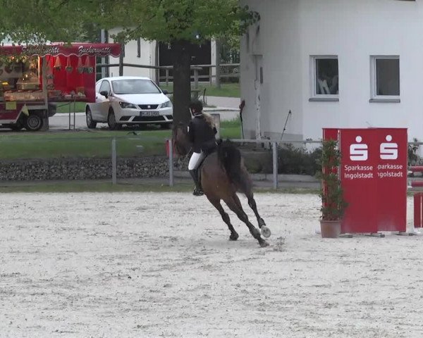 Frühjahrsturnier Ingolstadt Hagau 2017