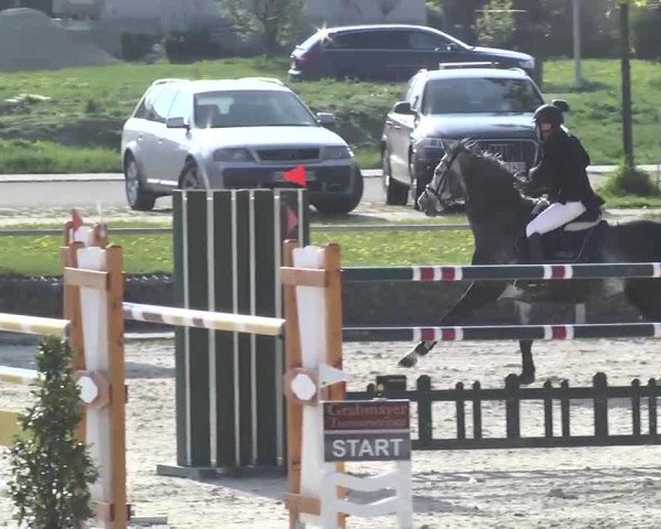 Frühjahrsturnier Ingolstadt Hagau 2017