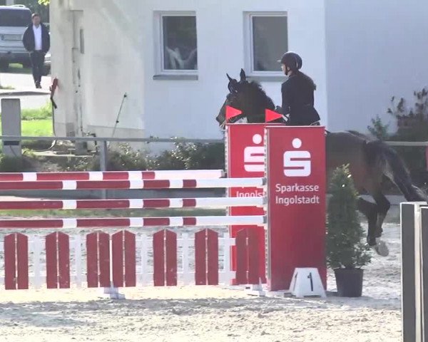 Frühjahrsturnier Ingolstadt Hagau 2017