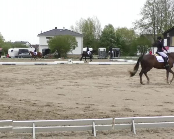 Frühjahrsturnier Ingolstadt Hagau 2017