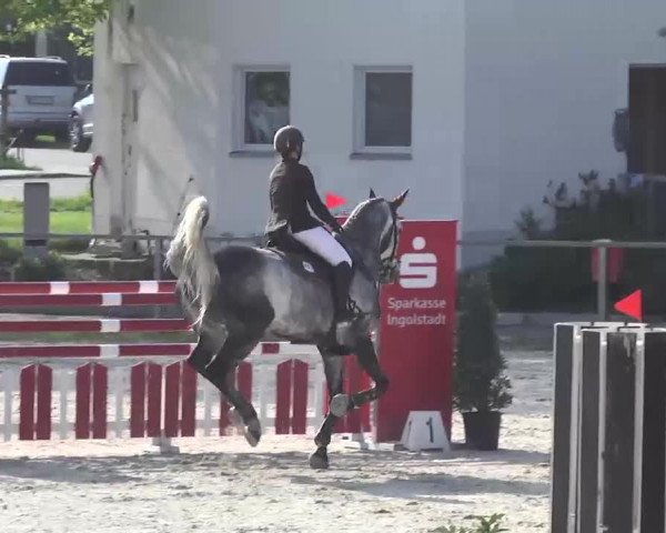 Frühjahrsturnier Ingolstadt Hagau 2017
