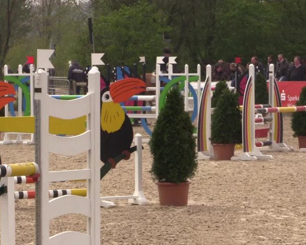 LVM Ponychampionat Münster-Nienberge 2017